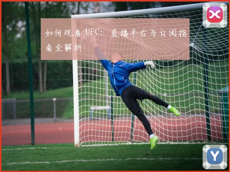 如何观看 UFC：直播平台与订阅指南全解析
