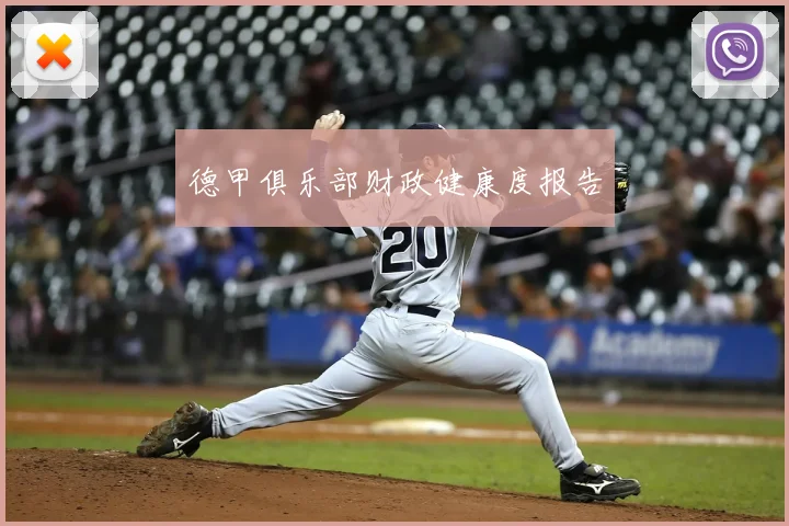 德甲俱乐部财政健康度报告